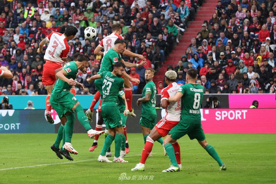 的三分球绝 的三分球绝